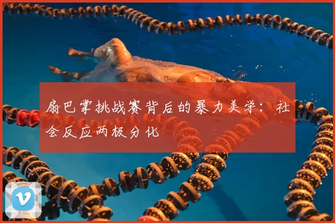 扇巴掌挑战赛背后的暴力美学:社会反应两极分化