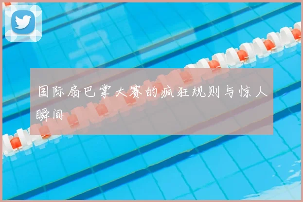 国际扇巴掌大赛的疯狂规则与惊人瞬间