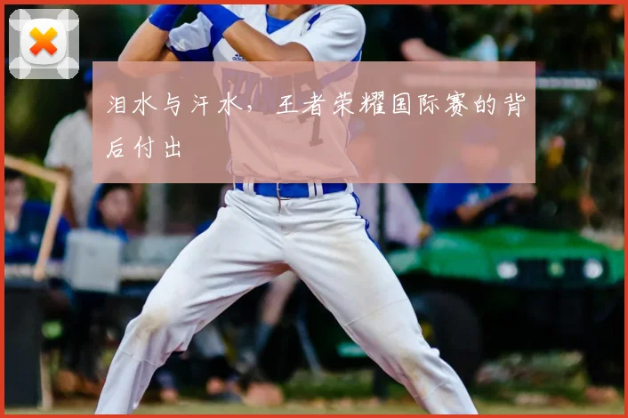 泪水与汗水，王者荣耀国际赛的背后付出