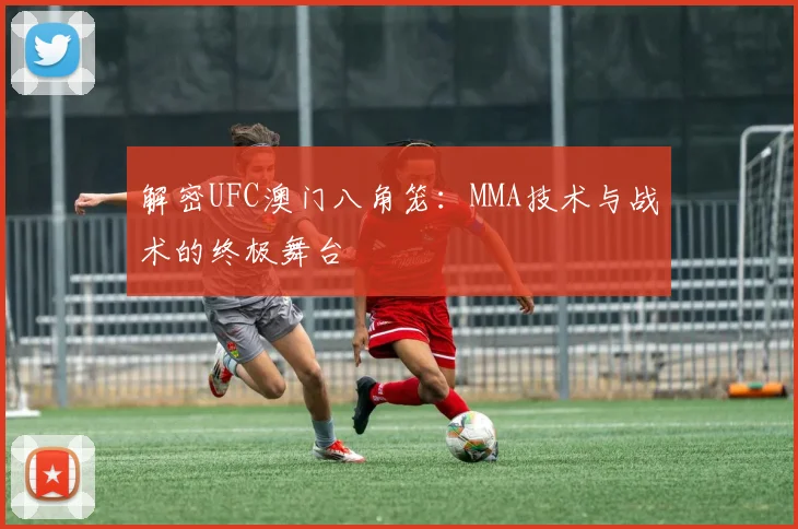解密UFC澳门八角笼：MMA技术与战术的终极舞台