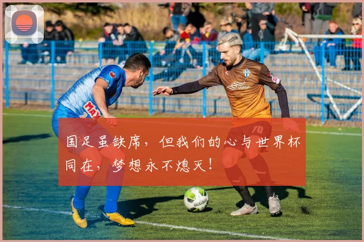 国足虽缺席,但我们的心与世界杯同在,梦想永不熄灭!